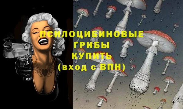 амфетамин Богородицк